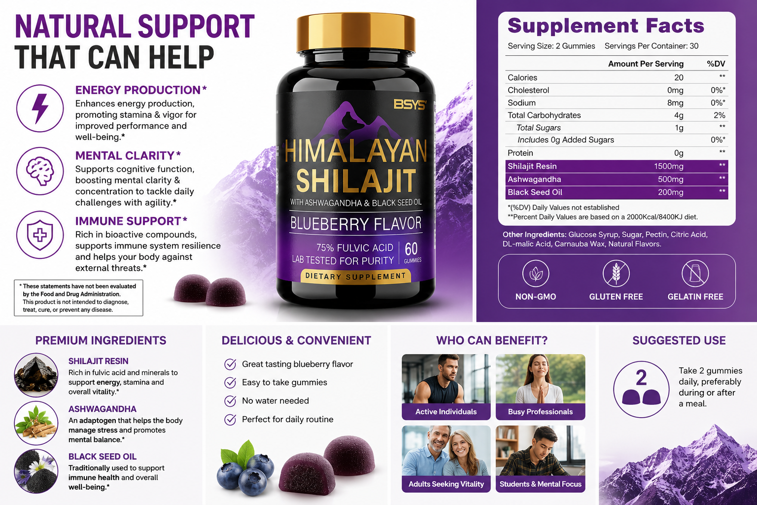 BSYS SHILAJIT GUMMIES 60'S